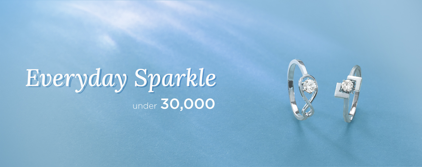 Everyday Sparkle Banner